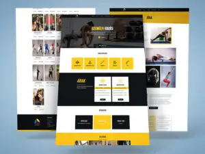 Abir Mahmud Portfolio